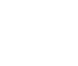 Healthcare Icon