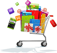 e-commerce website development and Payment Integration
